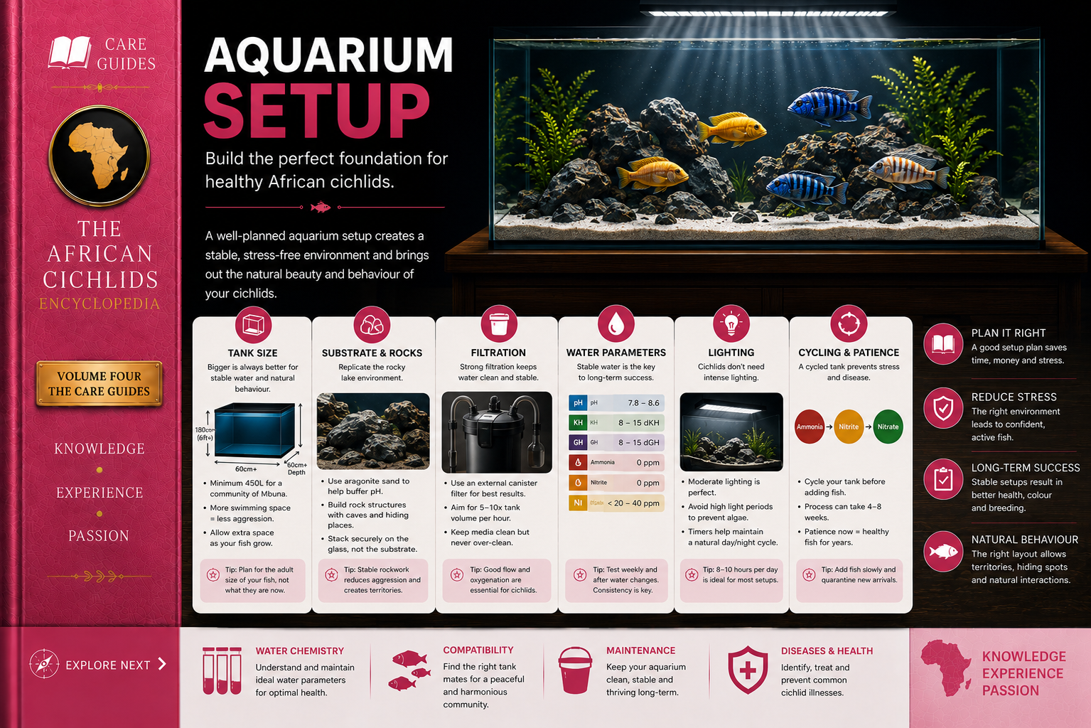 Aquarium Setup