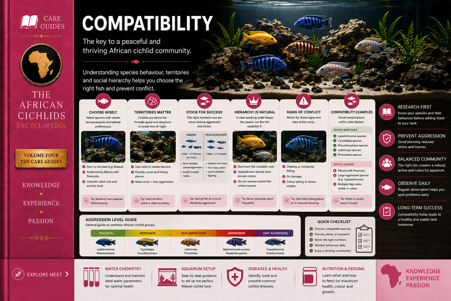 African Cichlid Compatibility
