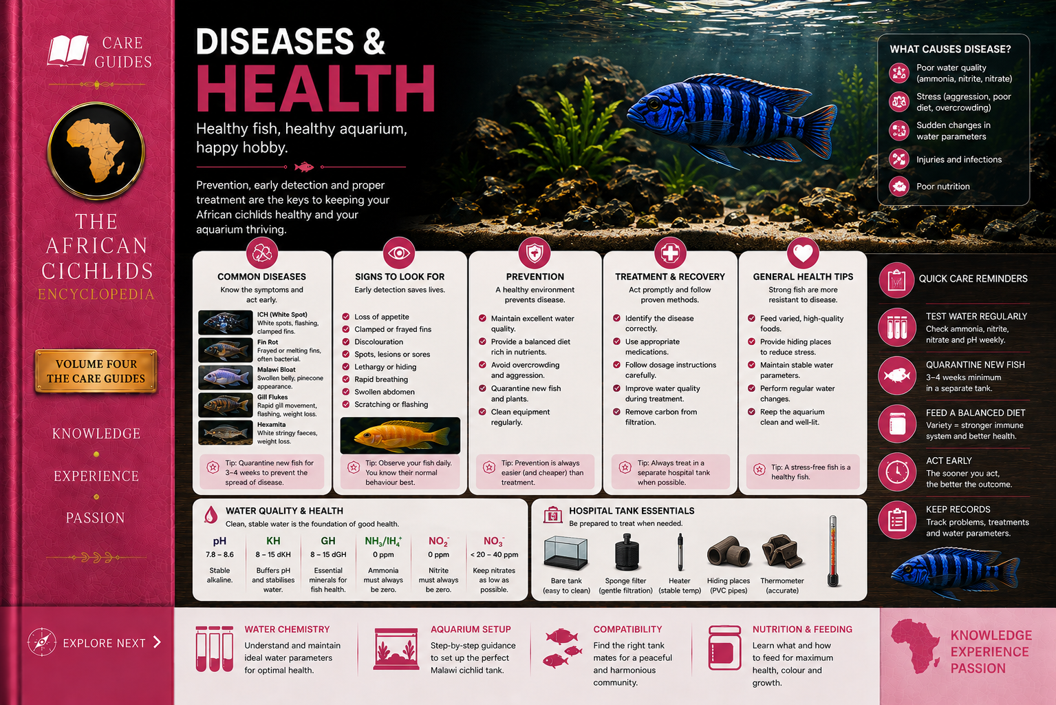 Cichlid Diseases & Health