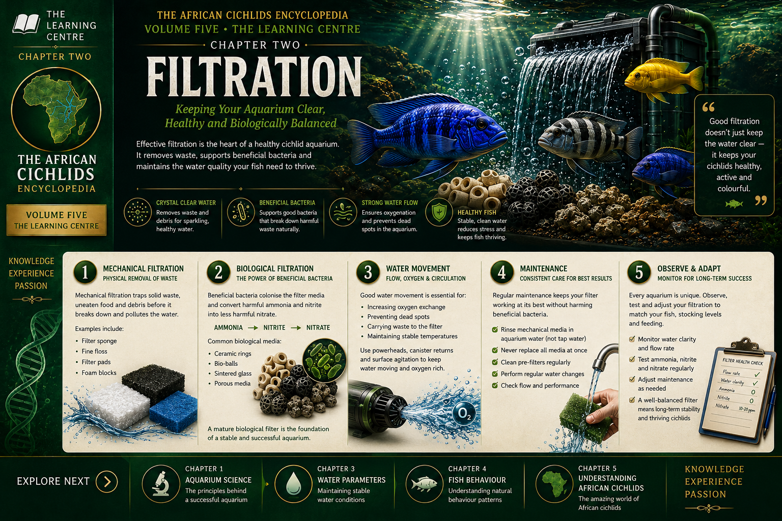 Aquarium Filtration