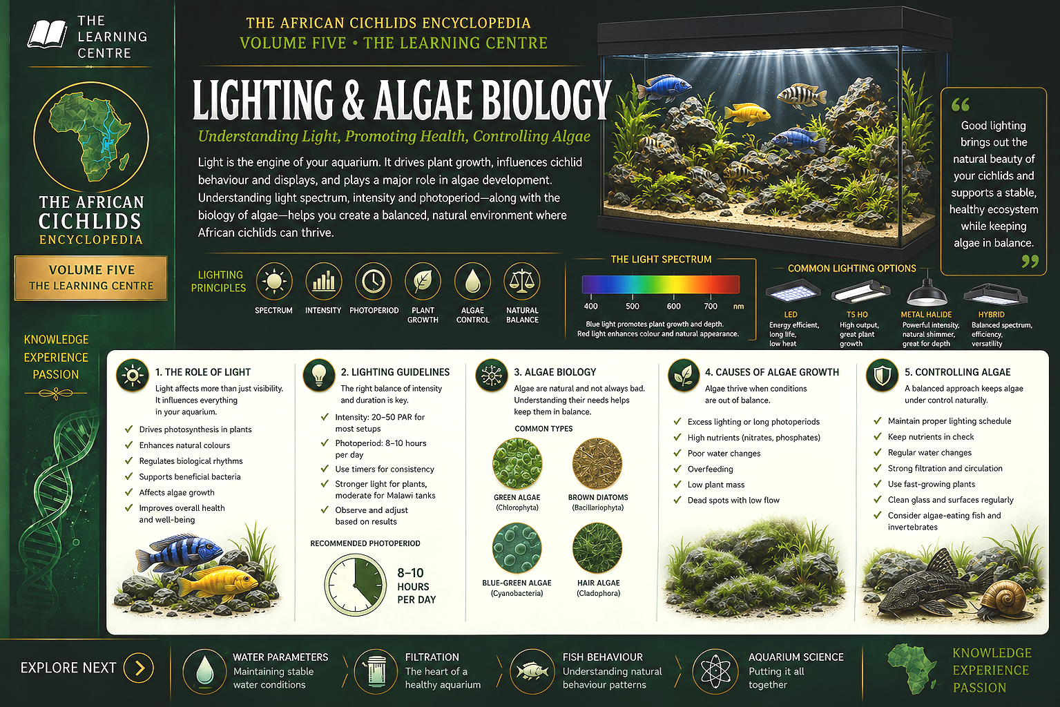 Aquarium Lighting and Algae Biology