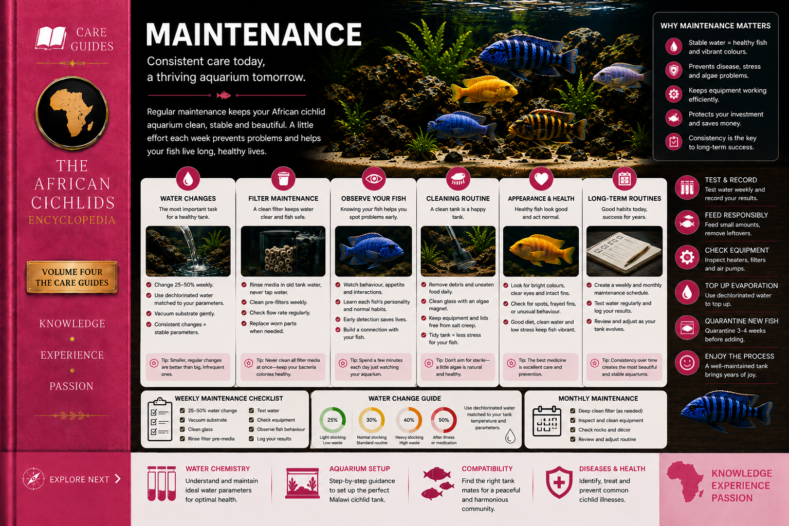 African Cichlid Maintenance