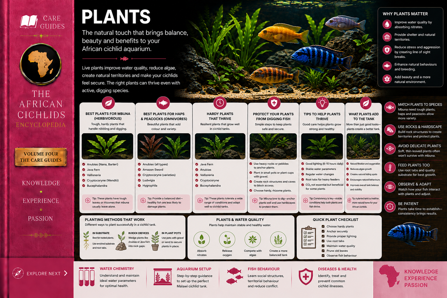 Plants for African Cichlid Tanks