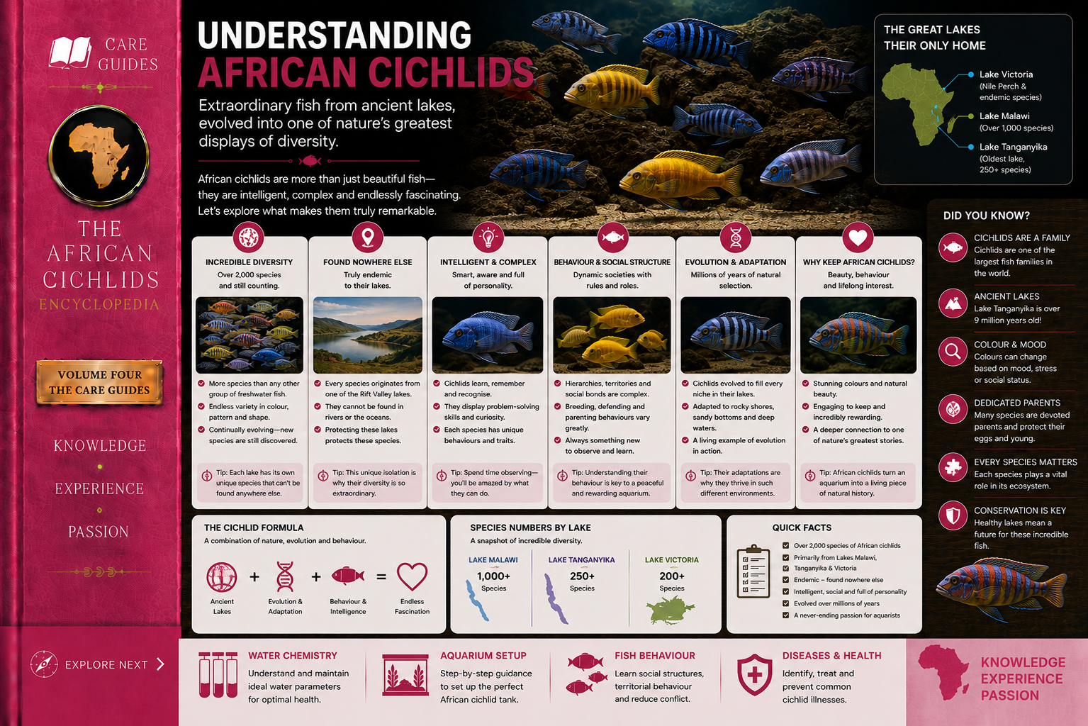 Understanding African Cichlids